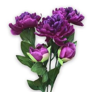 3 Fuschia Garden Peonies